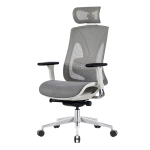 Executive Ergonomic Mesh Chair EC-110