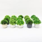 White Ceramic Potted Artificial Succulent Assorted Plants Colors - Image 2