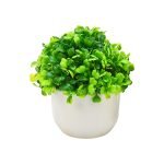 White Ceramic Potted Artificial Succulent Assorted Plants Colors - Image 5