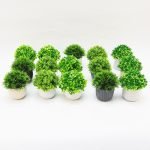 White Ceramic Potted Artificial Succulent Assorted Plants Colors